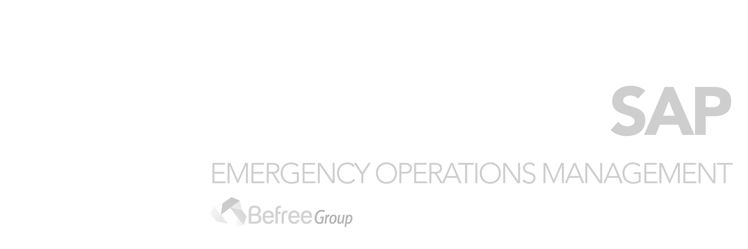 Fire Fighters SAP logo